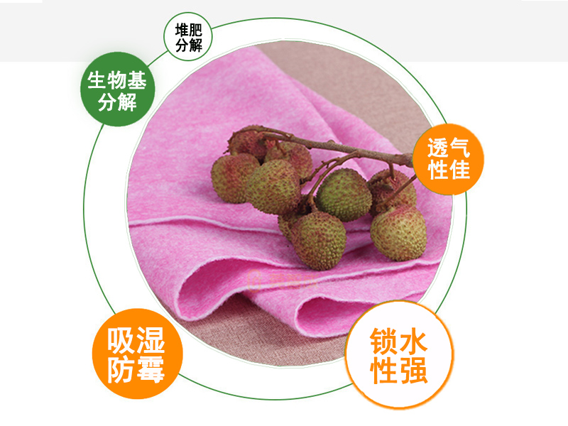 可降解水果保鮮棉|可降解水果保水棉