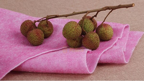 夏季運輸優選的水果保鮮材料