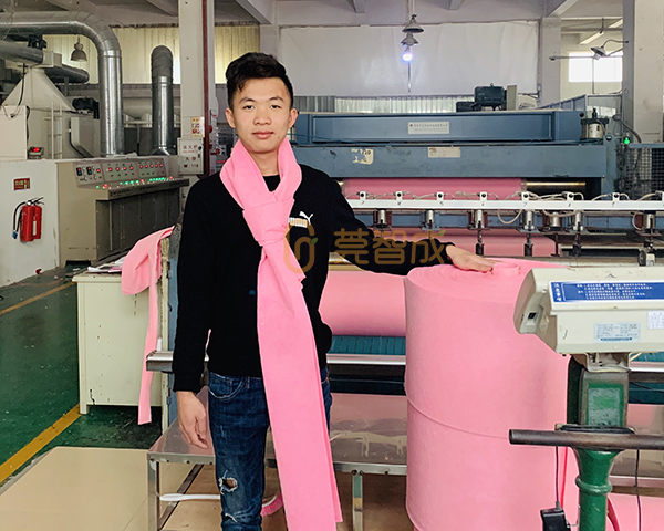 椰殼抹布 椰殼抹布