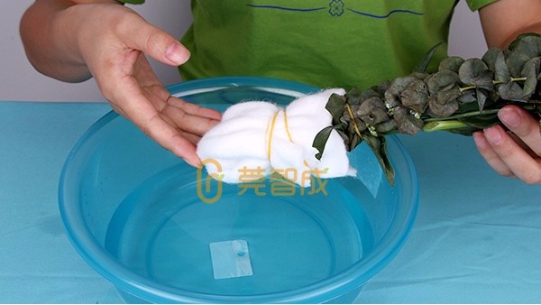 花倍鮮保水棉 花倍鮮保水棉