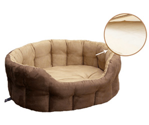 寵物墊解剖圖 寵物墊解剖圖