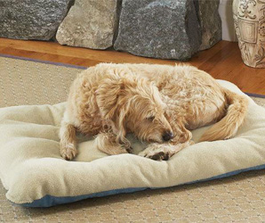 寵物墊應用場景 寵物墊應用場景