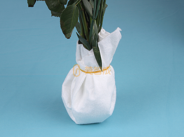 花泥和吸水棉 花泥和吸水棉