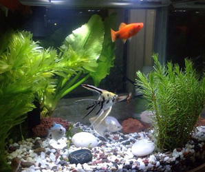 用于水過濾 用于水過濾