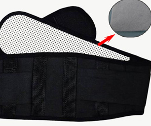 護腰保健解剖圖