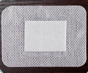 藥劑貼解剖圖 藥劑貼解剖圖