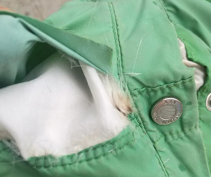 衣服剖面圖 衣服剖面圖