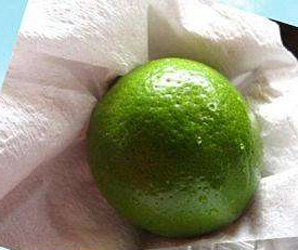 水果保鮮解剖圖 水果保鮮解剖圖