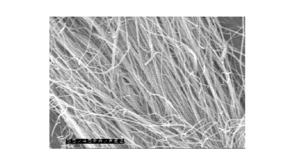 德科學(xué)家研制成功“拜羅伊特超級(jí)纖維”