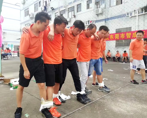 黑色針刺無紡布物流團隊 黑色針刺無紡布物流團隊