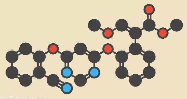 滌綸 高溫 滌綸 高溫