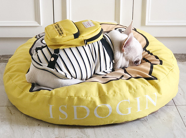 硬質棉寵物窩 硬質棉寵物窩