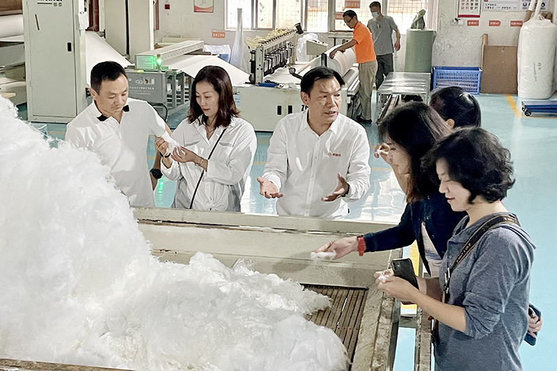 智成纖維吳川鴻 智成纖維吳川鴻