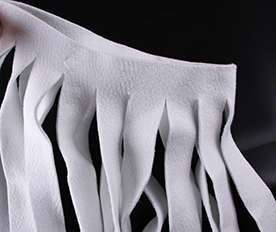 生態基剖面圖 生態基剖面圖