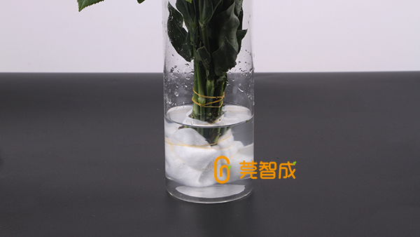 鮮花吸水棉-貼近呵護(hù)花根